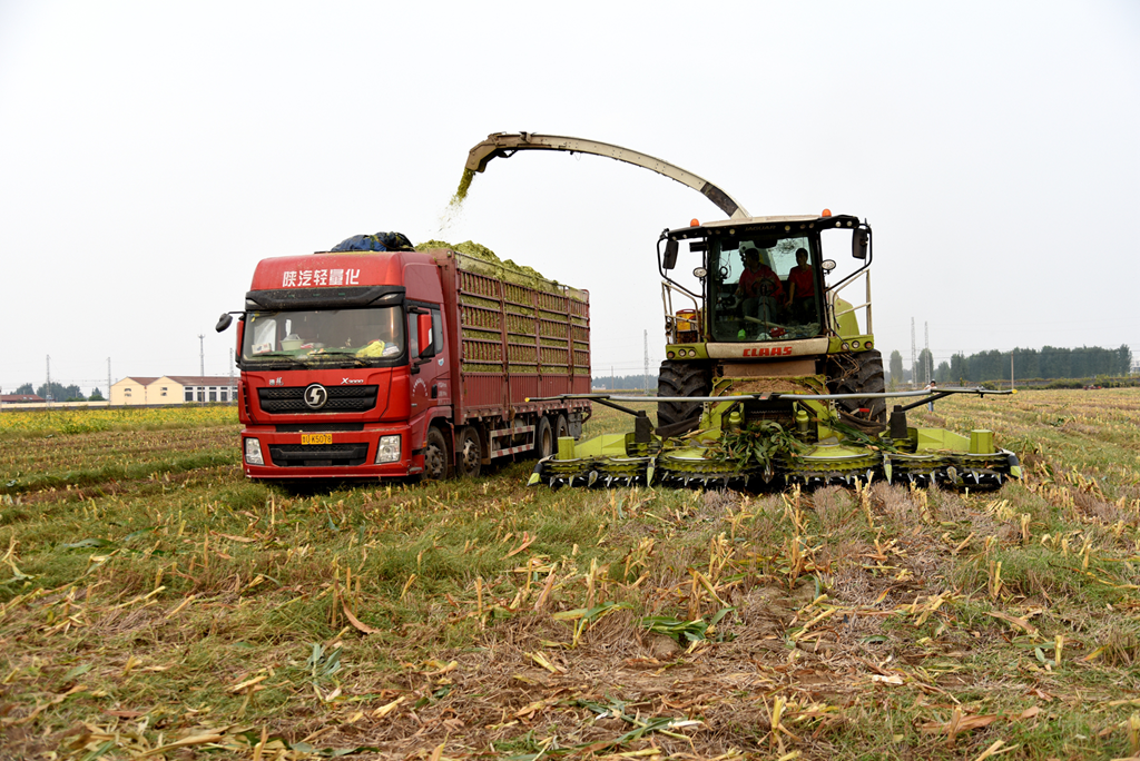 马晓雷：从部队转战农业，承担服务“三农”新使命