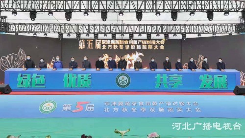 第五届京津冀蔬菜食用菌产销对接暨北方冬季设施蔬菜大会在饶阳召开