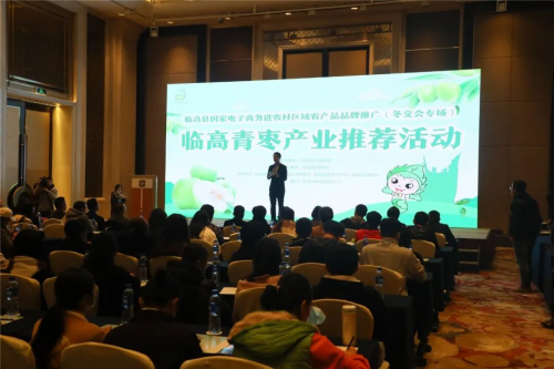 临高国家电子商务进农村综合示范县青枣产业推荐活动圆满举行