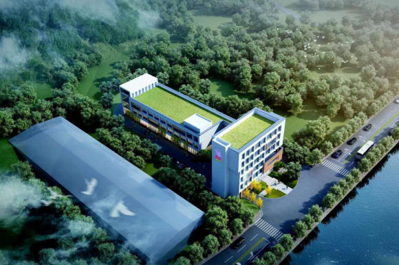 ​生仙里品牌猪肉创始人：从山林到餐桌，把猪肉卖到全世界！