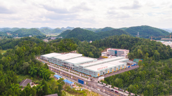 遵义新蒲新区：探索朝天椒优势特色产业集群建设新模式