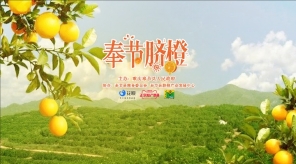   一株树养活三十万人！天猫美食正宗原产地联合花呗兴农助农，奉节脐橙祝大家心想事橙！