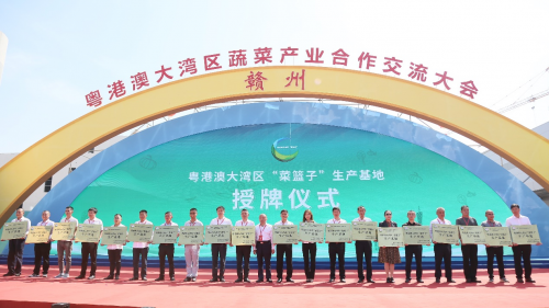 江西信丰绿色无公害农产品对接融入粤港澳大湾区“菜篮子”