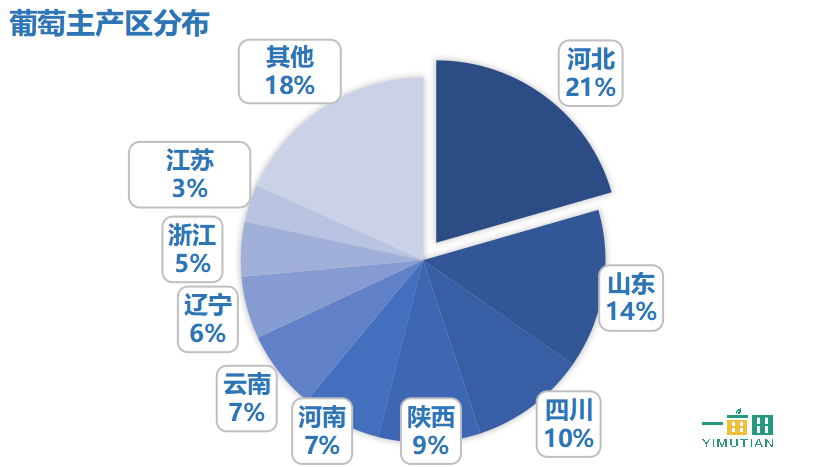 你吃的葡萄是哪里来的？一亩田官方分析报告详解葡萄产业发展状况