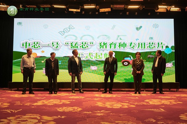  中芯一号家育“猛芯”种猪芯片全球首发仪式在呼和浩特举行
