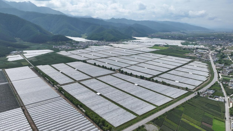 三江之门·八月蓝香 │ 2025年兰坪县“八月蓝”蓝莓品牌推介大会即将启幕！