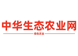 程小纯：乡村文化体系建设是一项长期的系统工程